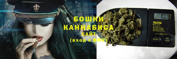 гидропоника Снежинск